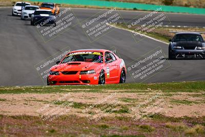 media/Feb-25-2024-Speed Ventures (Sun) [[b9a2a97a4d]]/Mustang Drivers Club/Session 3 (Turn 2)/